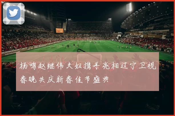杨鸣赵继伟夫妇携手亮相辽宁卫视春晚共庆新春佳节盛典