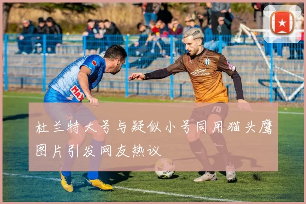 杜兰特大号与疑似小号同用猫头鹰图片引发网友热议