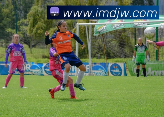 App Interface Preview