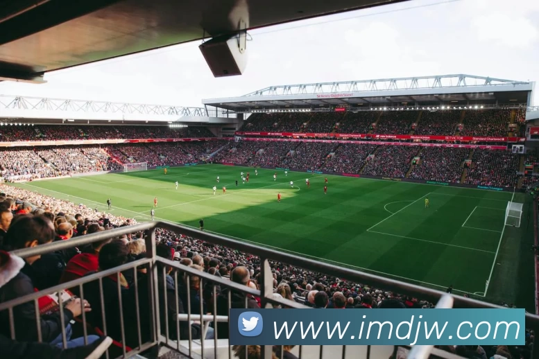 im电竞官网APP 封面图